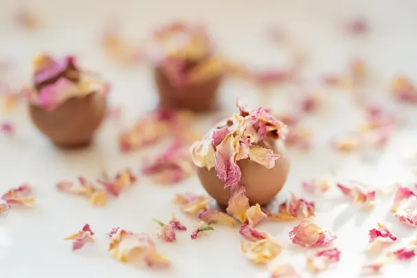 Kasino Paradise Win Android/iOS Aplikácia